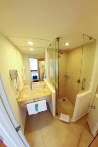 one xalapa las animas