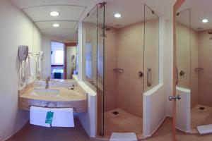 one xalapa las animas