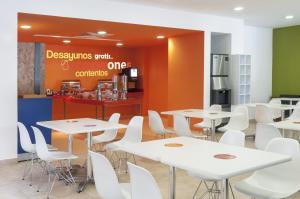 one xalapa las animas