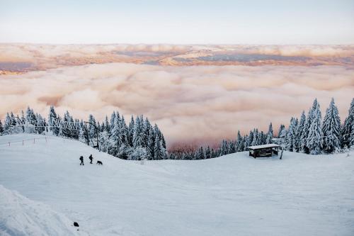 Orea Hotel Spicak Sumava,Lam>>Klatovy,3 star
