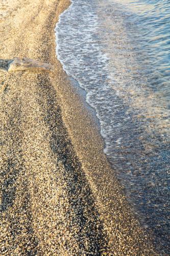 galei kinnereth hotel