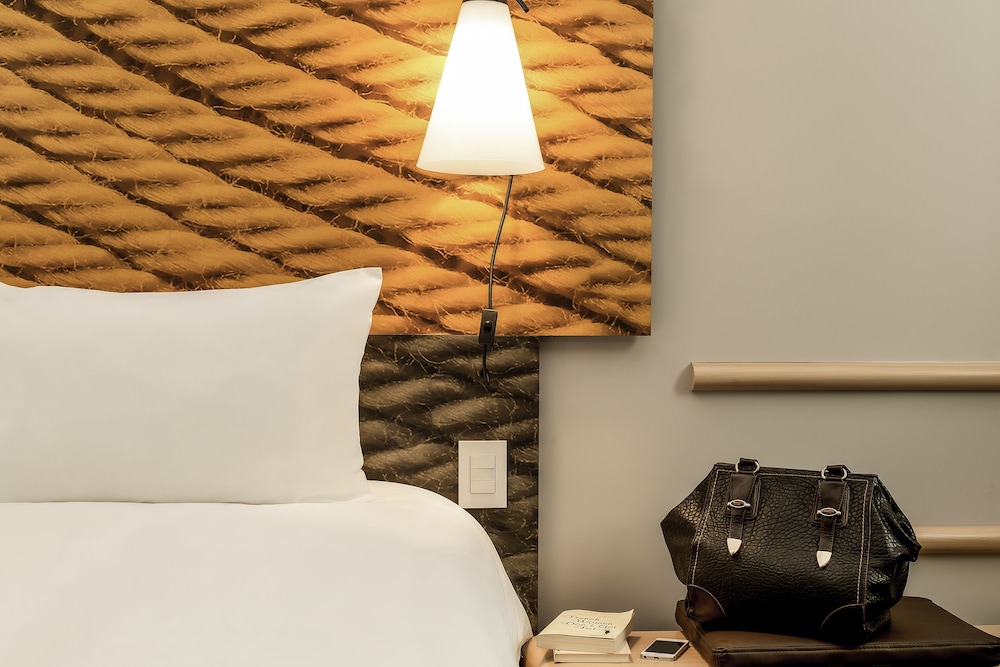 ibis toulouse purpan