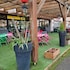 ibis toulouse purpan