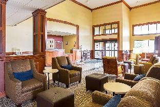 comfort suites twinsburg