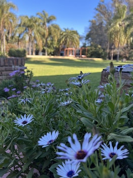 parador 15