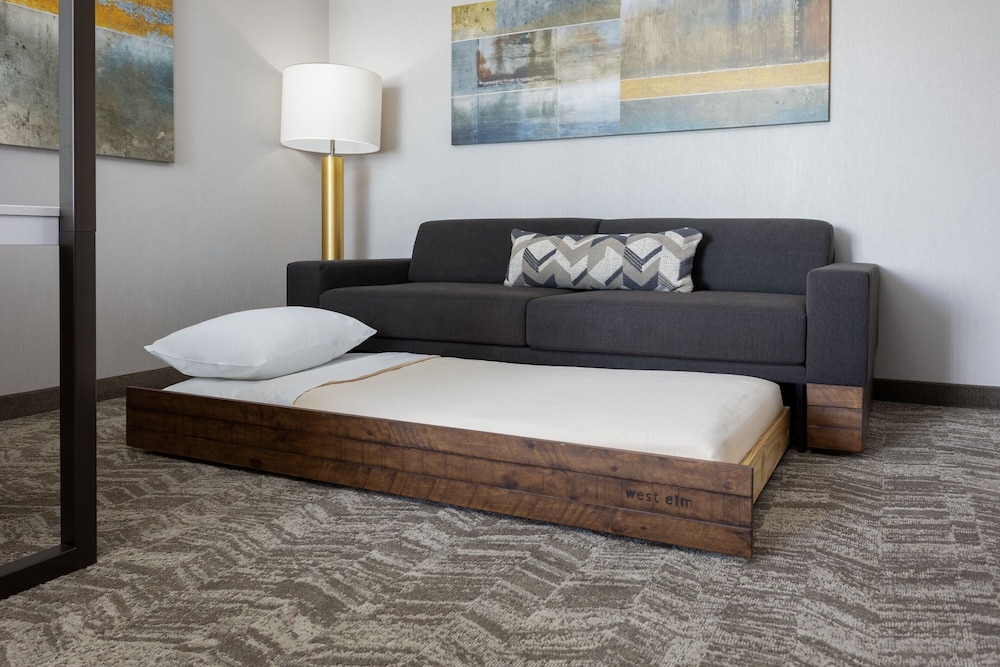 springhill suites by marriott pleasanton