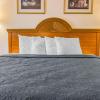 quality inn i 94 near wings stadium