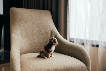 doubletree by hilton sukhumvit bangkok