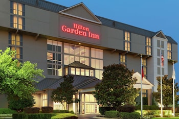 hilton garden inn dallas market center