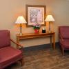 hampton inn and suites kingman