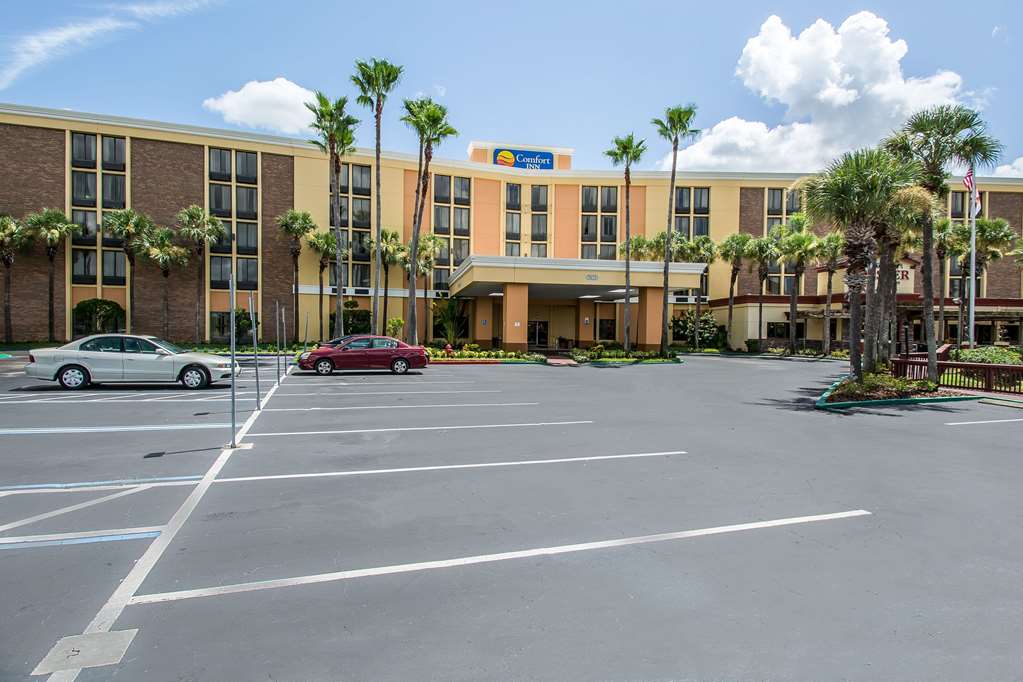 comfort inn and suites kissimmee by the parks