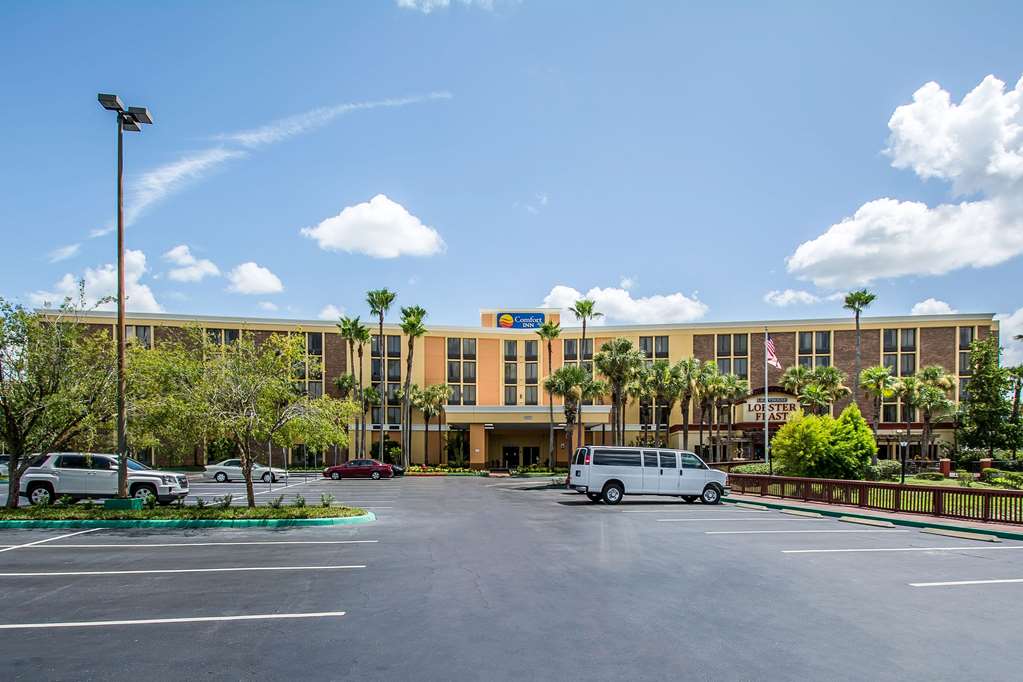 comfort inn and suites kissimmee by the parks