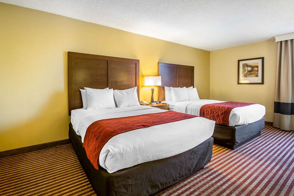 comfort inn and suites kissimmee by the parks