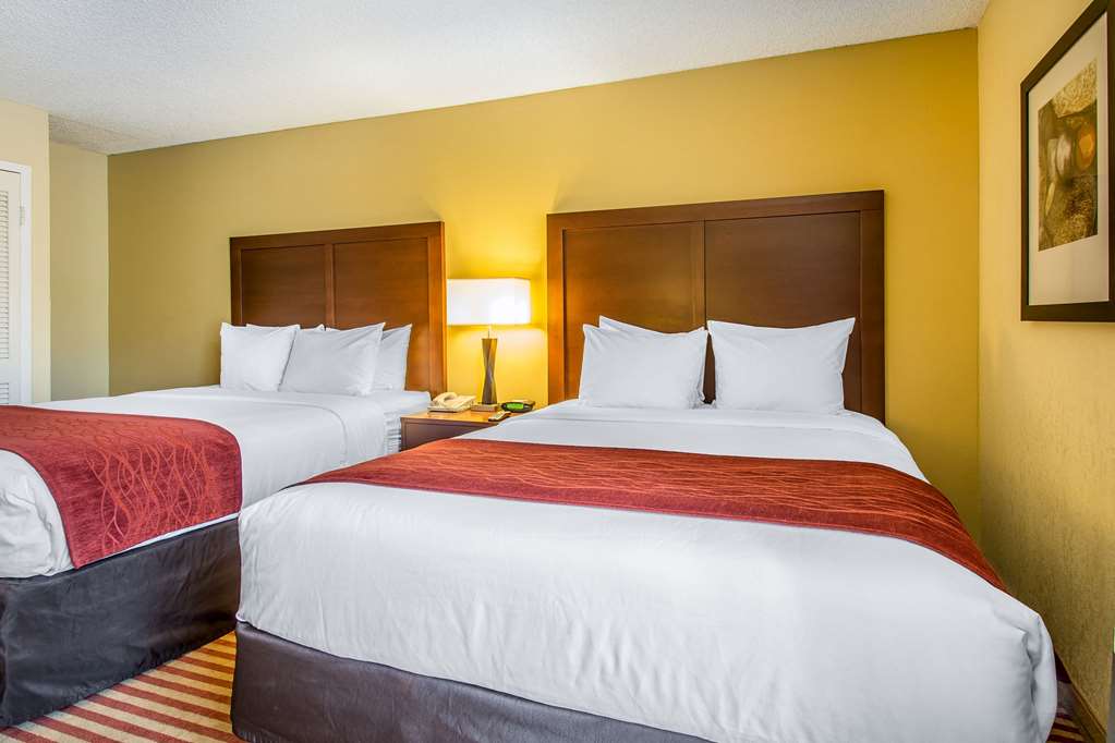comfort inn and suites kissimmee by the parks