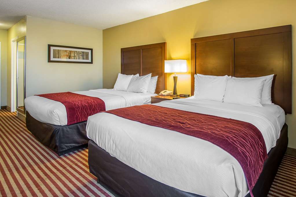 comfort inn and suites kissimmee by the parks