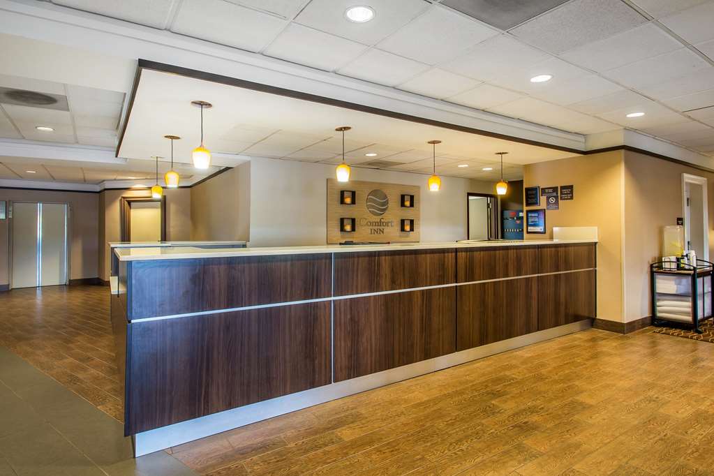 comfort inn and suites kissimmee by the parks
