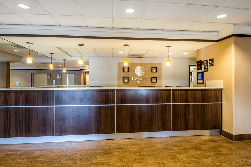 comfort inn and suites kissimmee by the parks