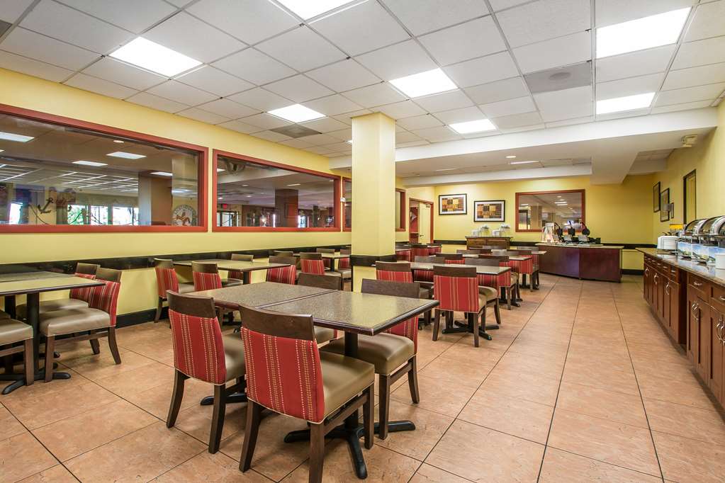 comfort inn and suites kissimmee by the parks