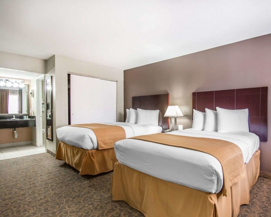 quality inn and suites by the parks