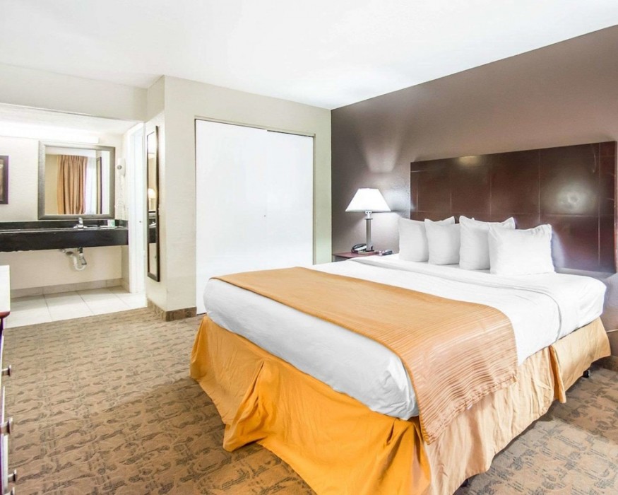 quality inn and suites by the parks