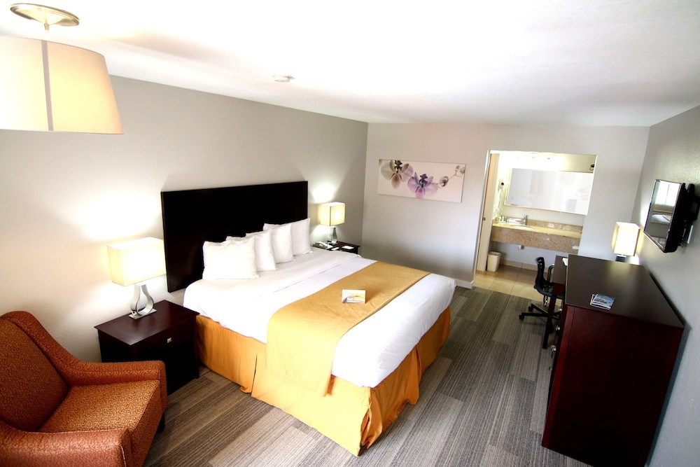 quality inn and suites by the parks