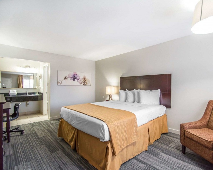 quality inn and suites by the parks