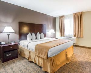 quality inn and suites by the parks