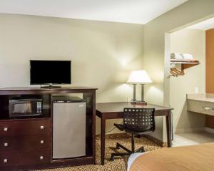 quality inn and suites by the parks