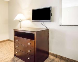 quality inn and suites by the parks