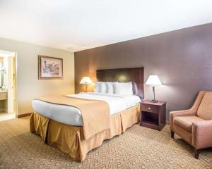 quality inn and suites by the parks