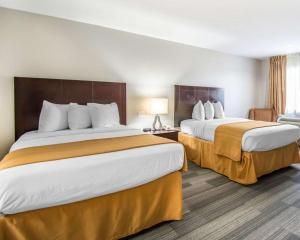 quality inn and suites by the parks