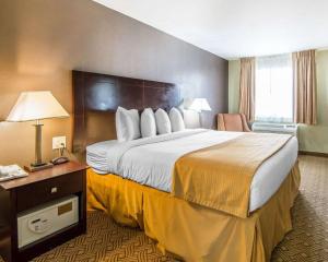 quality inn and suites by the parks