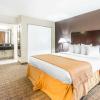 quality inn and suites by the parks