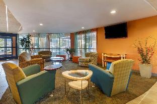 Comfort Suites Knoxville West - Farragut,Knox County>>Farragut,3 star