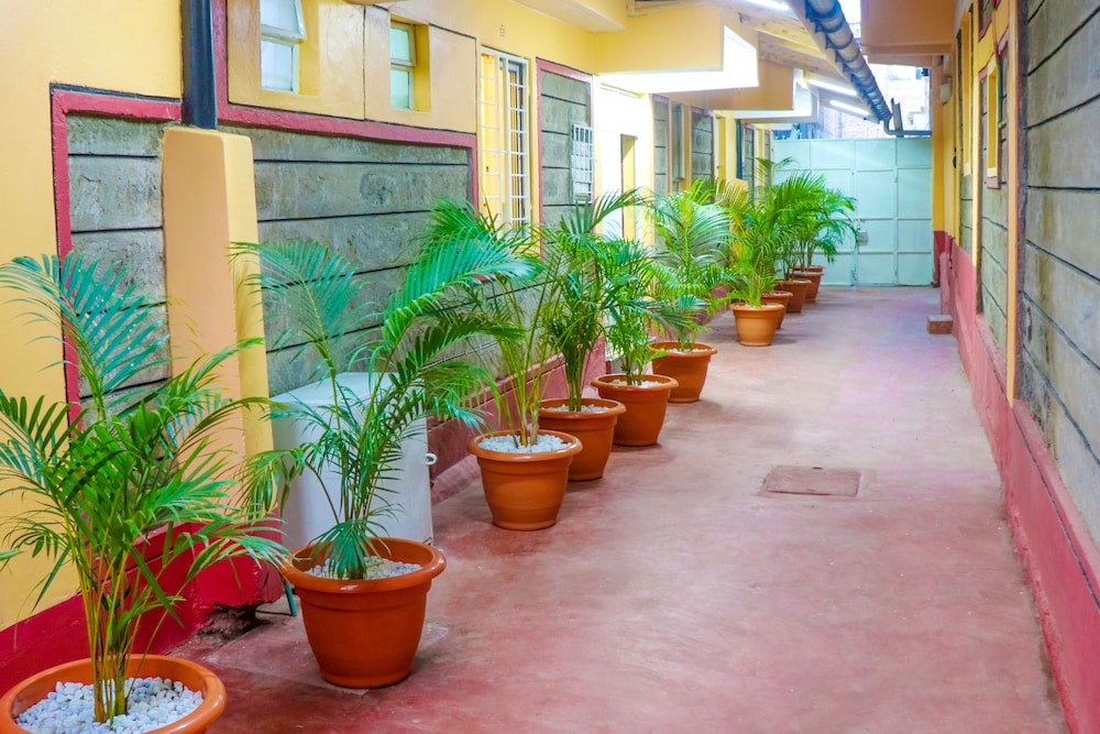 dayo suites and hotel