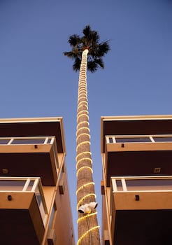 pacific edge hotel