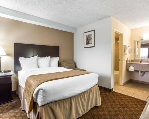 quality inn and suites coliseum