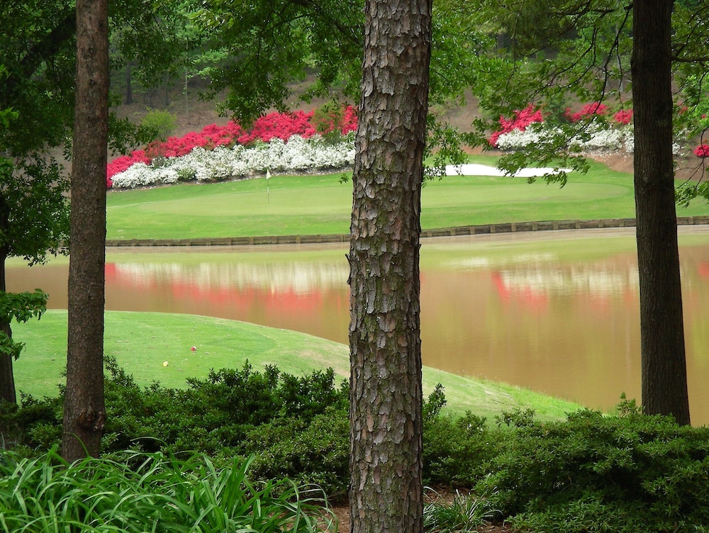 embassy suites greenville golf resort and conference center