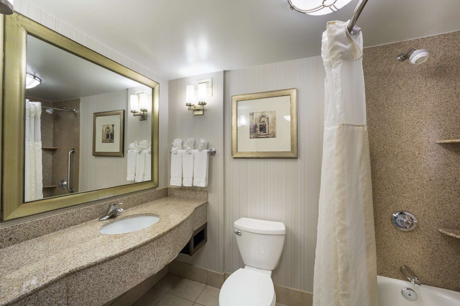 hilton garden inn hampton coliseum central