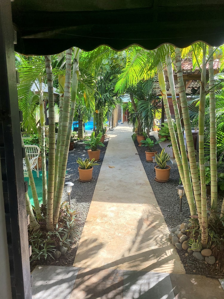 la romana