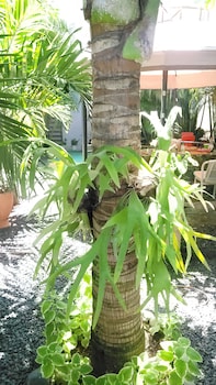 la romana