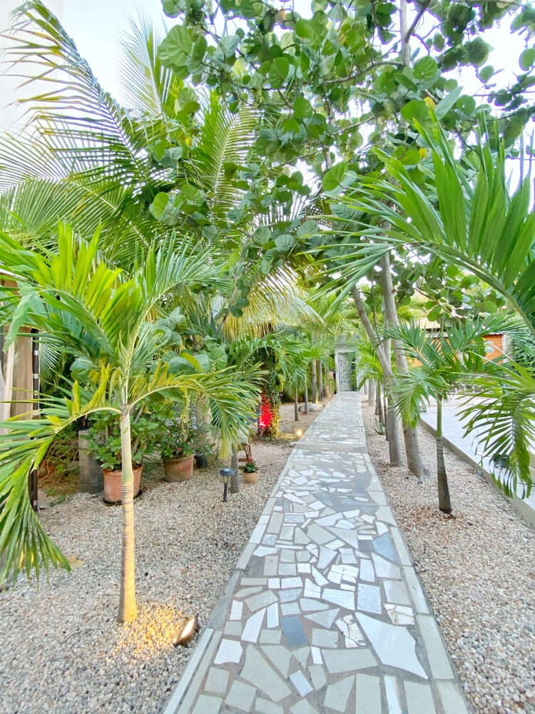 la romana