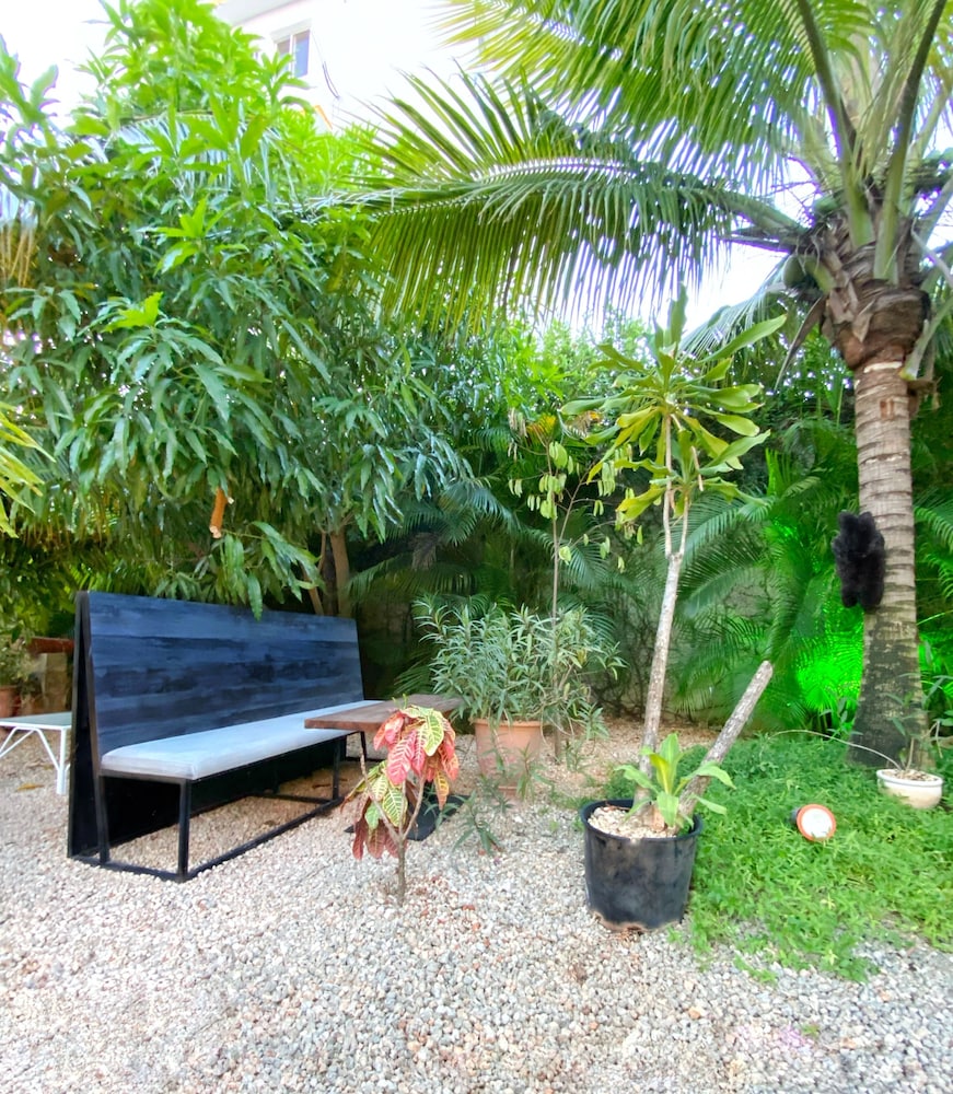 la romana