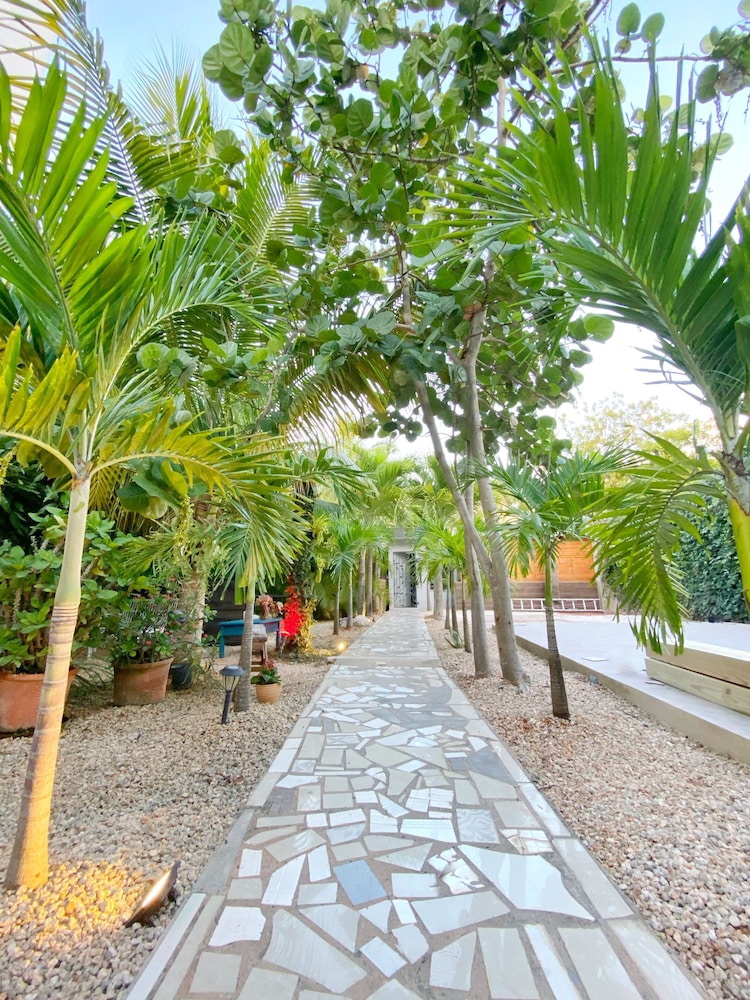 la romana