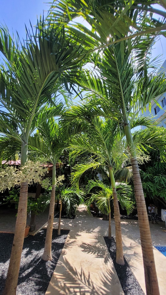 la romana