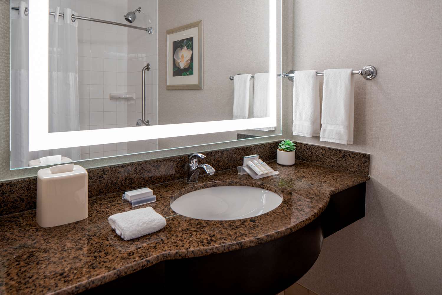 hilton garden inn jackson downtown