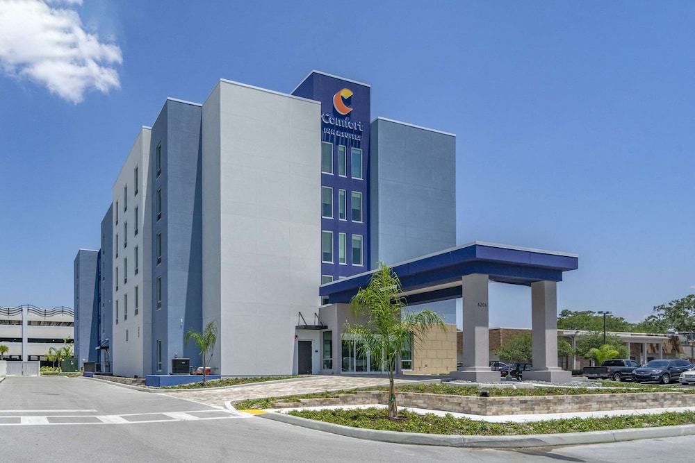 comfort inn and suites new port richey downtown district