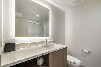 comfort inn and suites new port richey downtown district