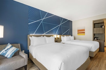 comfort inn and suites new port richey downtown district