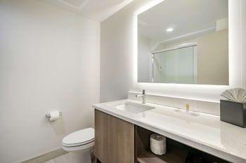 comfort inn and suites new port richey downtown district